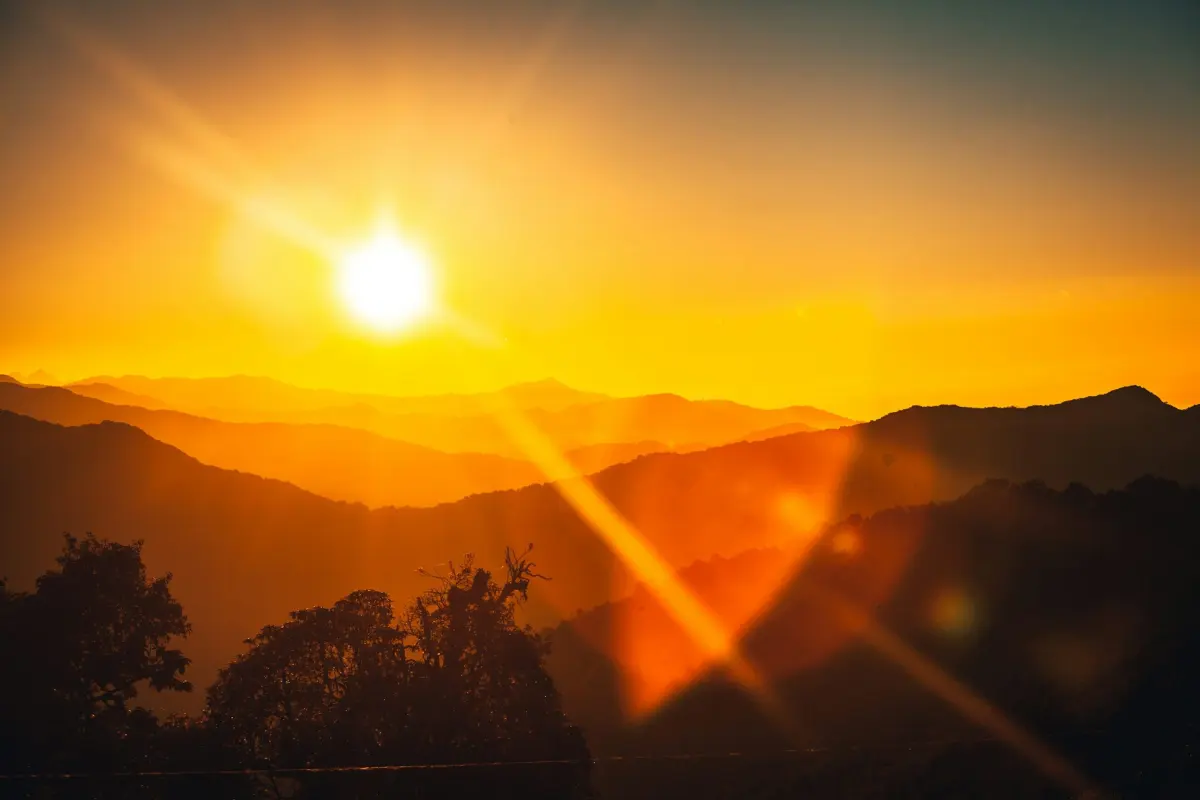 The Surprising Health Benefits of Sunlight: Insights from Prof. Richard Weller and The Guy Foundation