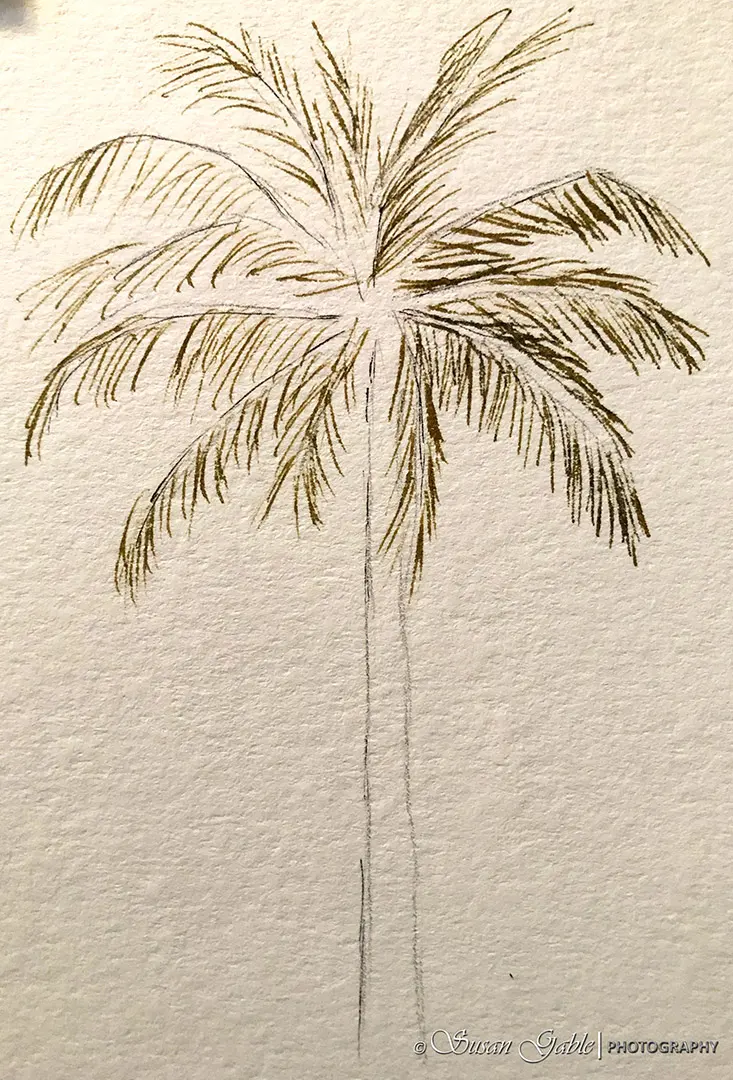 Palm Tree Pen and Ink Wash