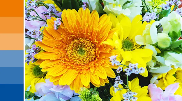 Flowers color — image 2
