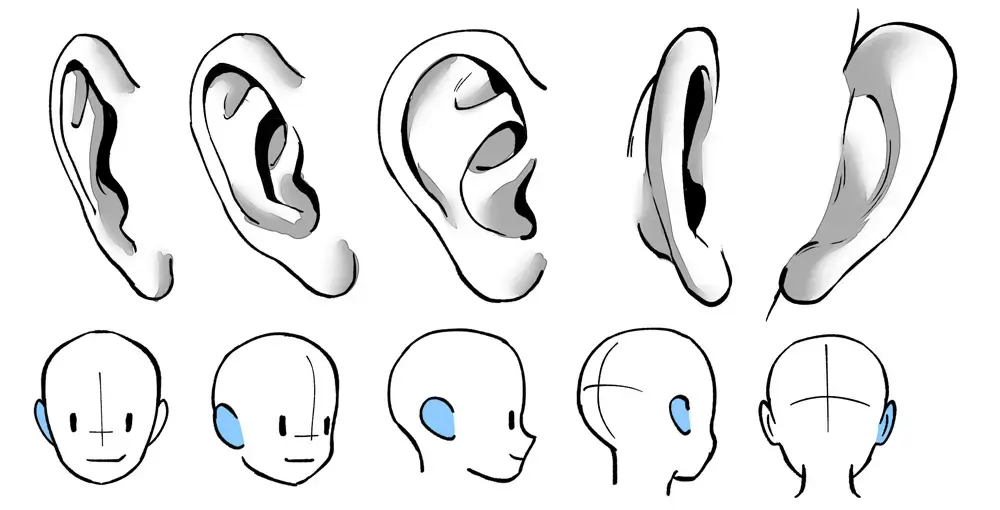How do you draw an ear step by step