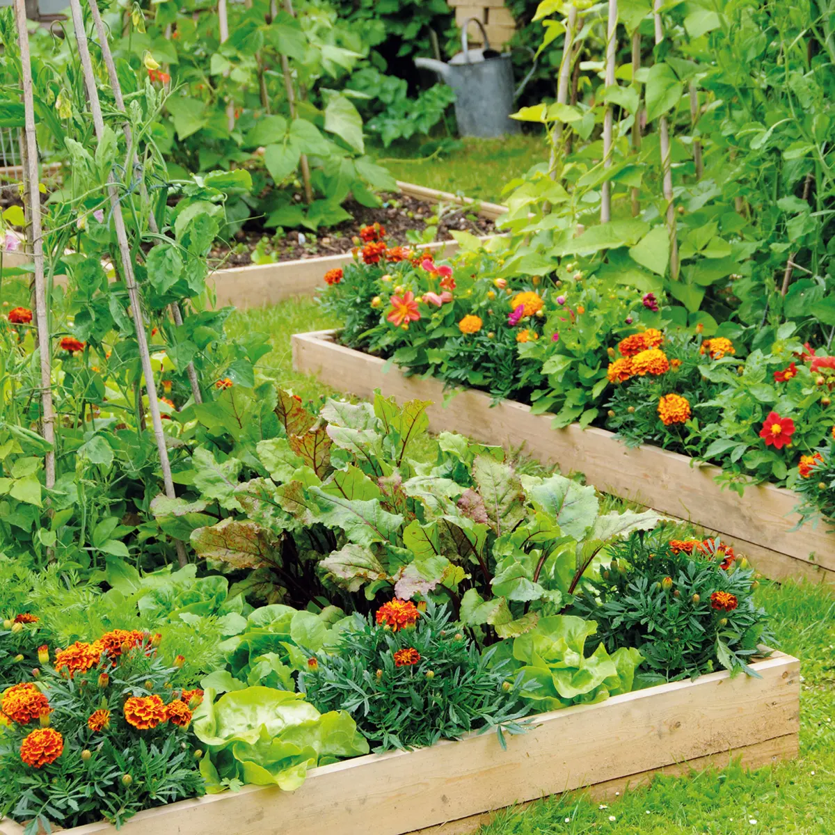 12 Vegetable Garden Ideas To Enhance Your Growing Space