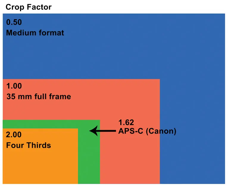 Full Frame vs. Crop Sensors
