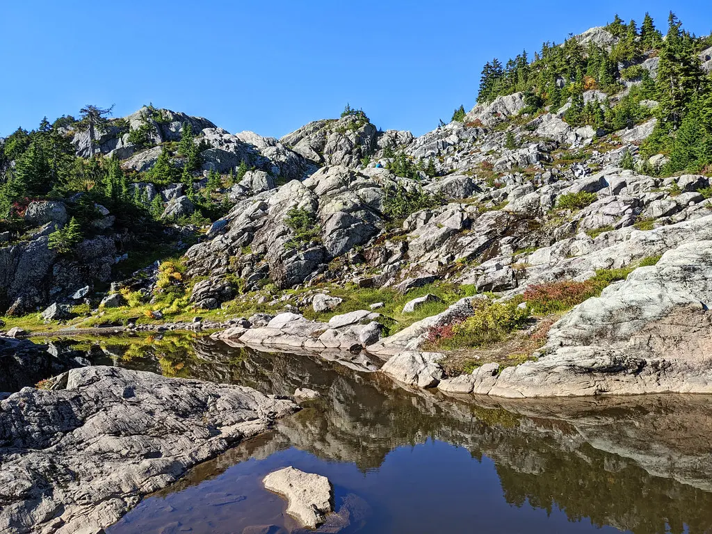 Hike Mount Seymour In Every Season