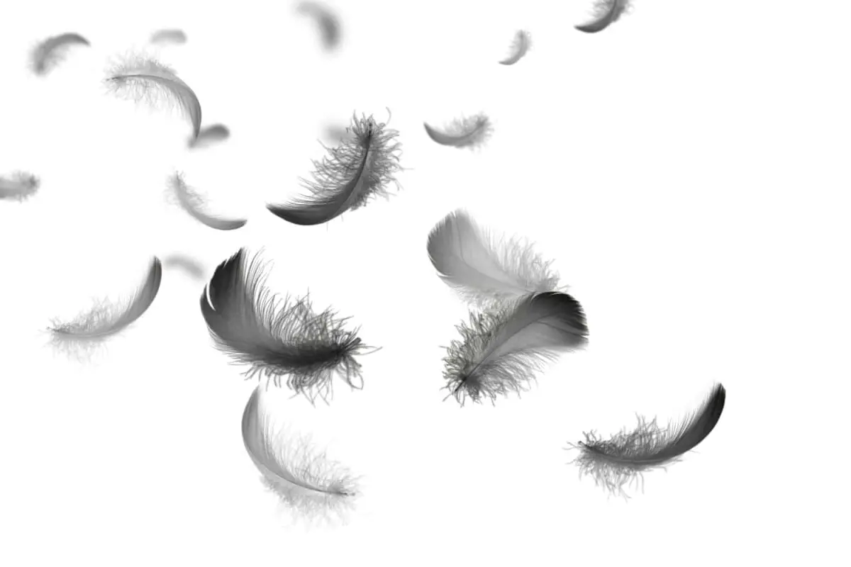 What does a feather symbolize in art