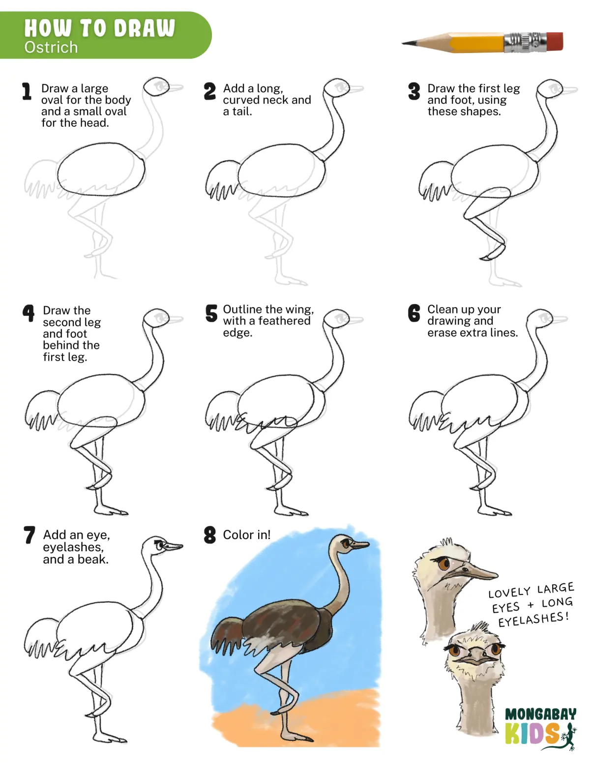 How to draw an ostrich