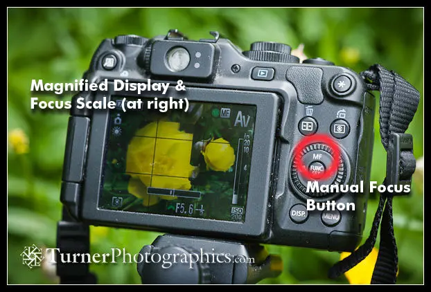 Digital Tip: Manual Focus (and a tripod) for Details