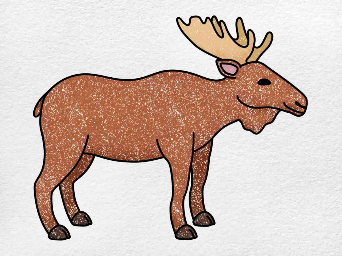 How to Draw a Moose