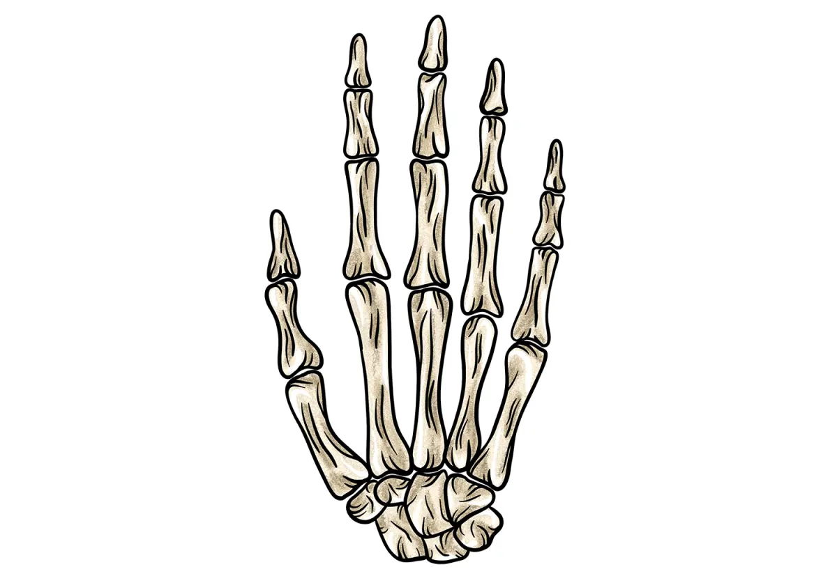 How to Draw a Skeleton Hand