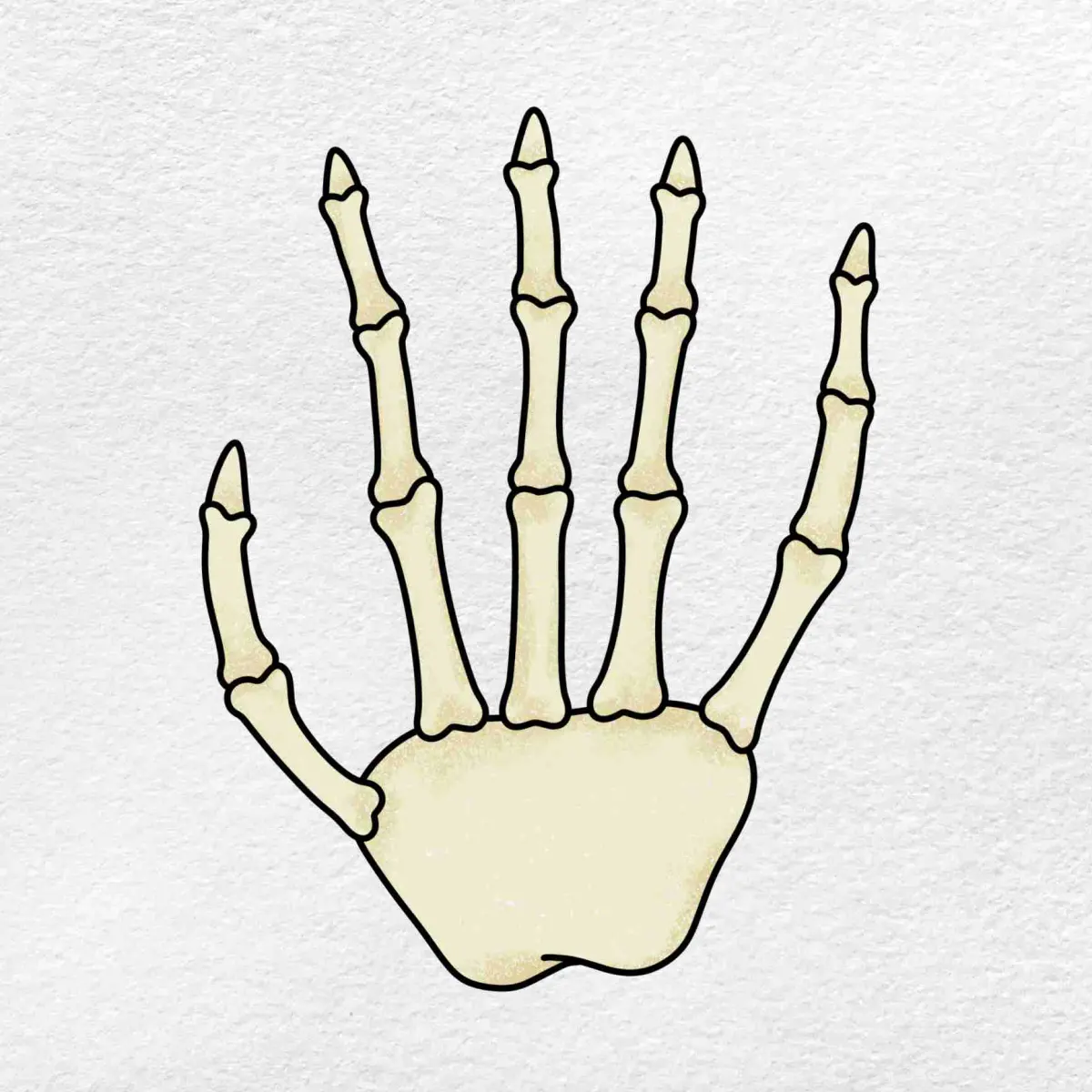 How to Draw a Skeleton Hand