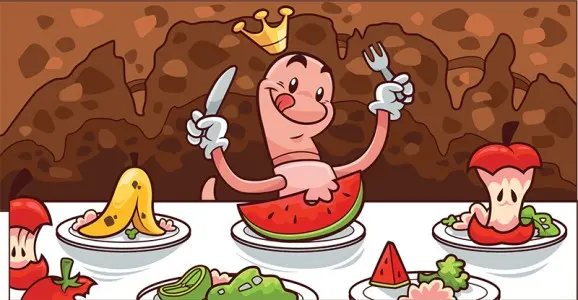 How do Earthworms eat our Biowaste?