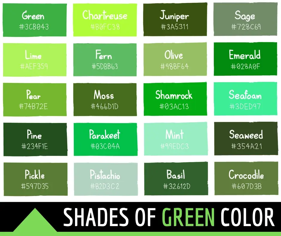 134 Shades of Green: Color Names, Hex, RGB, CMYK Codes