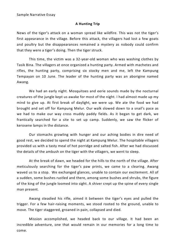 Narrative Essay Samples: Tell Me A Story