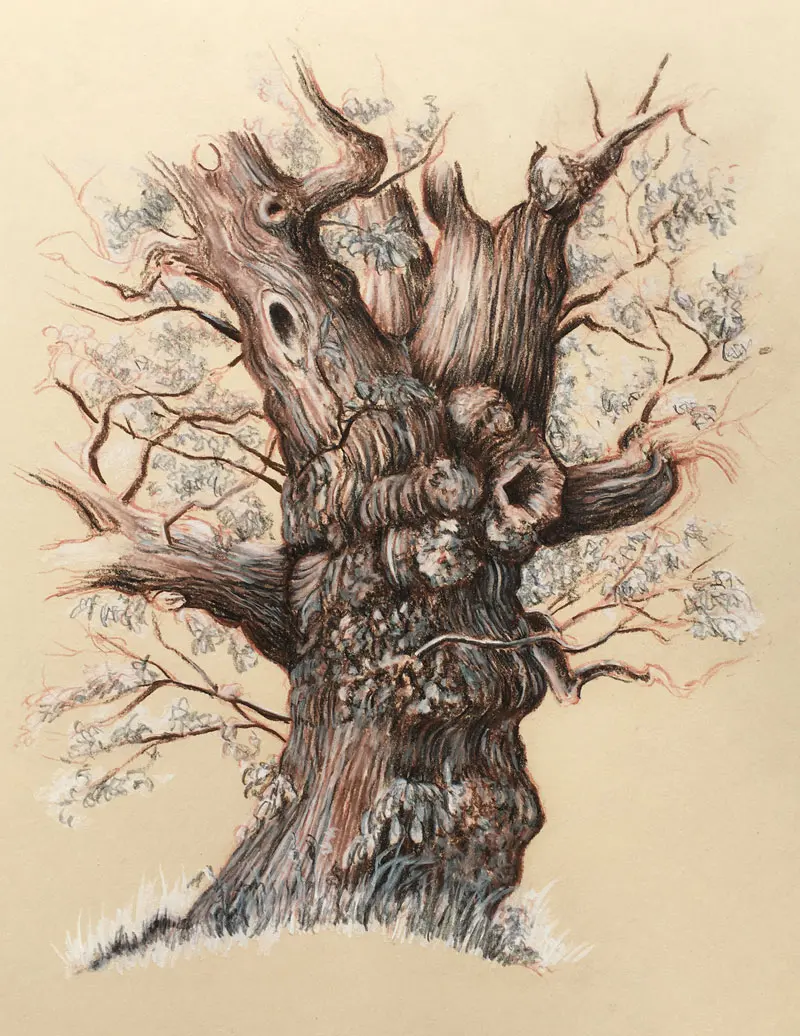 How To Draw Trees