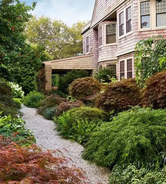 What to Plant in Your Ohio Shade Garden