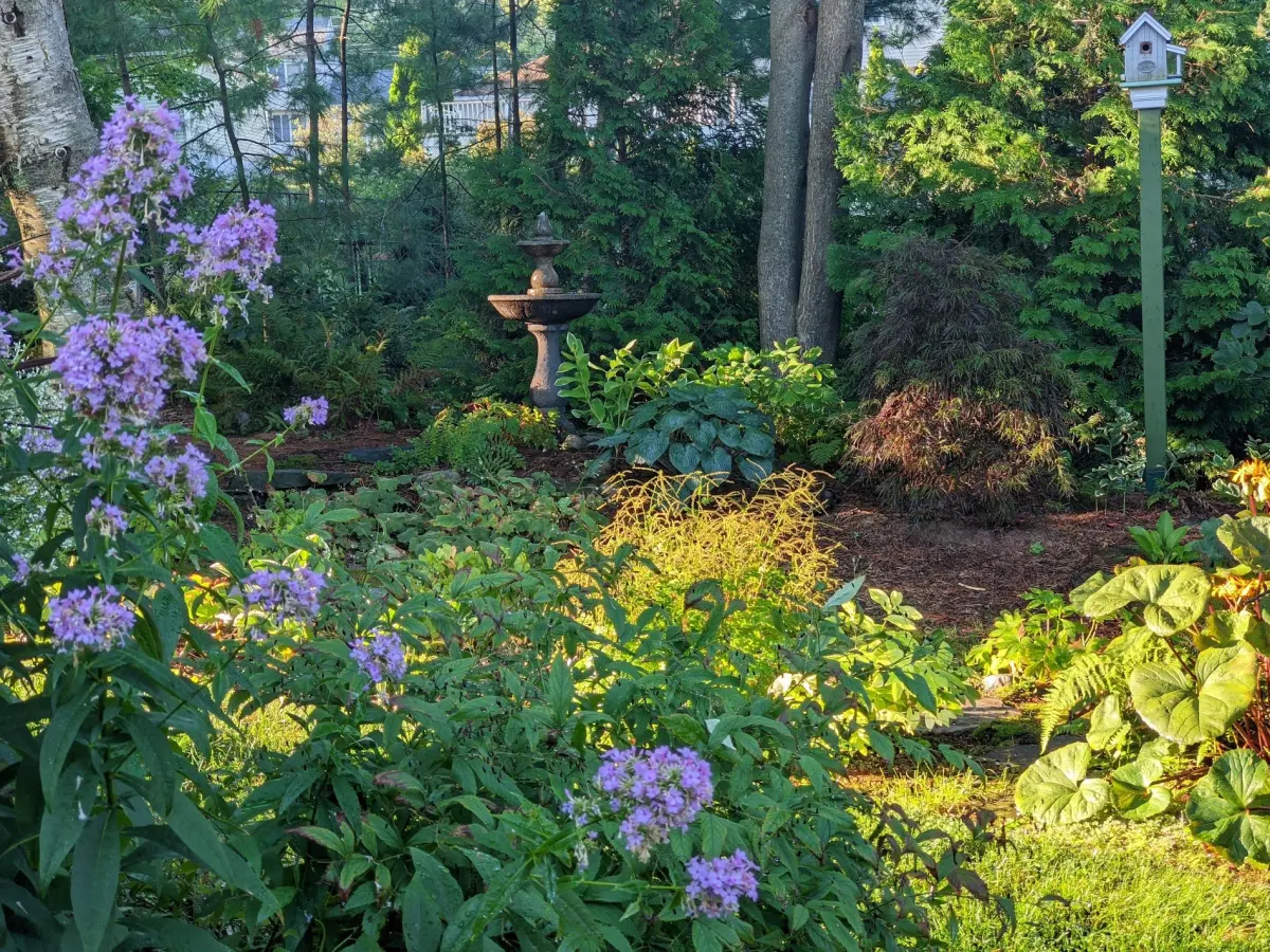 Shade Gardening