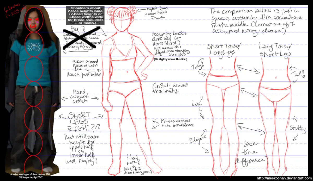 6.5-Heads Tall Adult Female [Part 1] (2013) by Meekochan on DeviantArt
