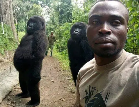 Gorillas pose for selfie with DR Congo anti-poaching unit