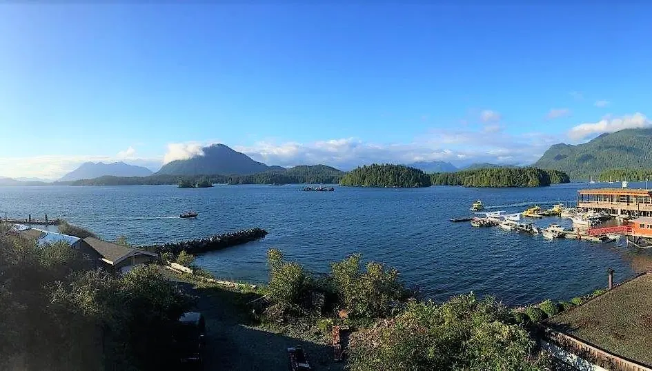 In and Around Vancouver Island BC