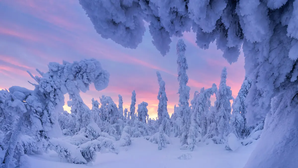 Photograph snow — image 2