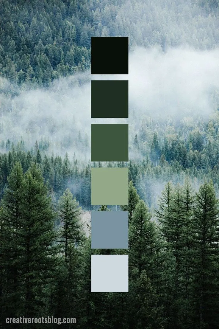 Muted Forest Green Color Palette