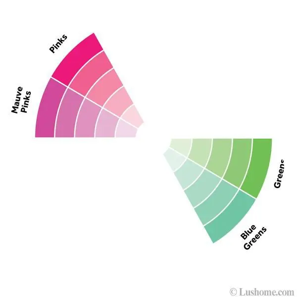 Complementary and Sophisticated Pink Green Color Schemes Inspired by Romantic Water Lilies