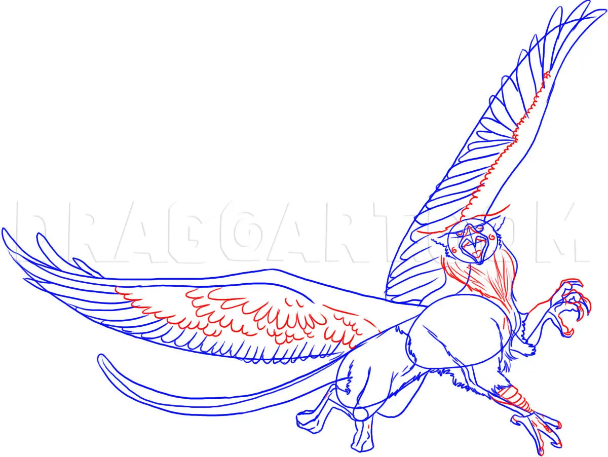 How To Draw A Griffin, Drawing, Step by Step, by Dawn