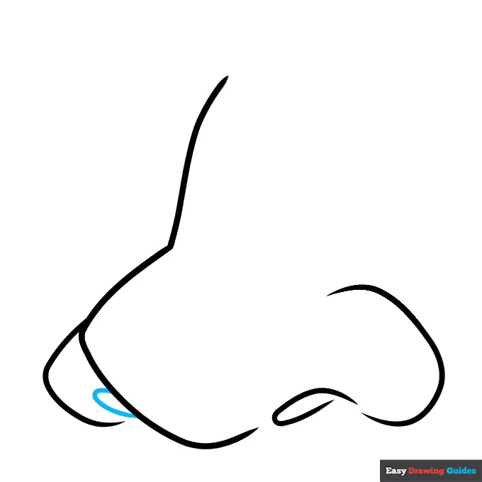 How to Draw a Cartoon Nose