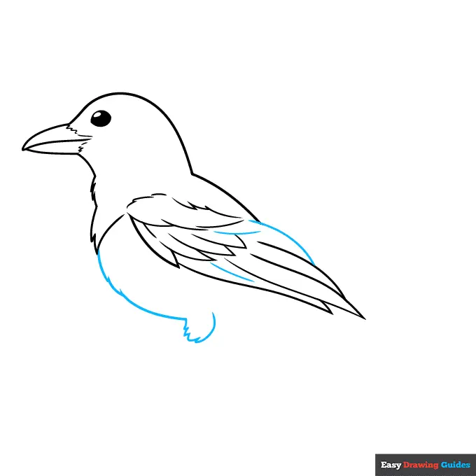 How to Draw a Magpie