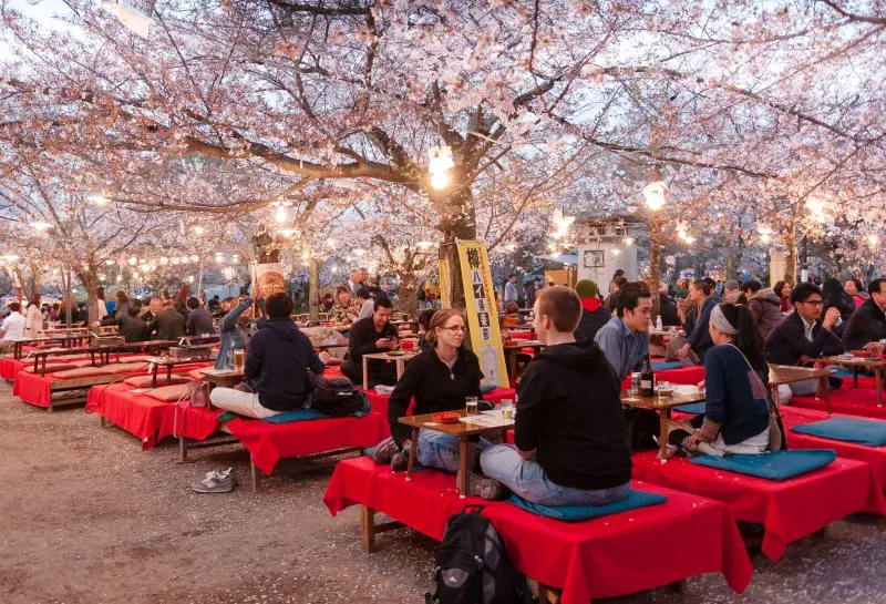 Hanami 2027: Japan's Cherry Blossom Festival, Dates & Forecast