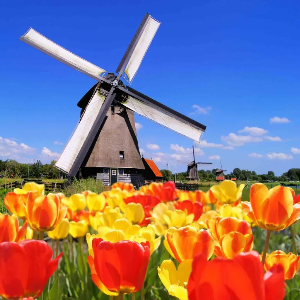 21 Things The Netherlands Is Known For
