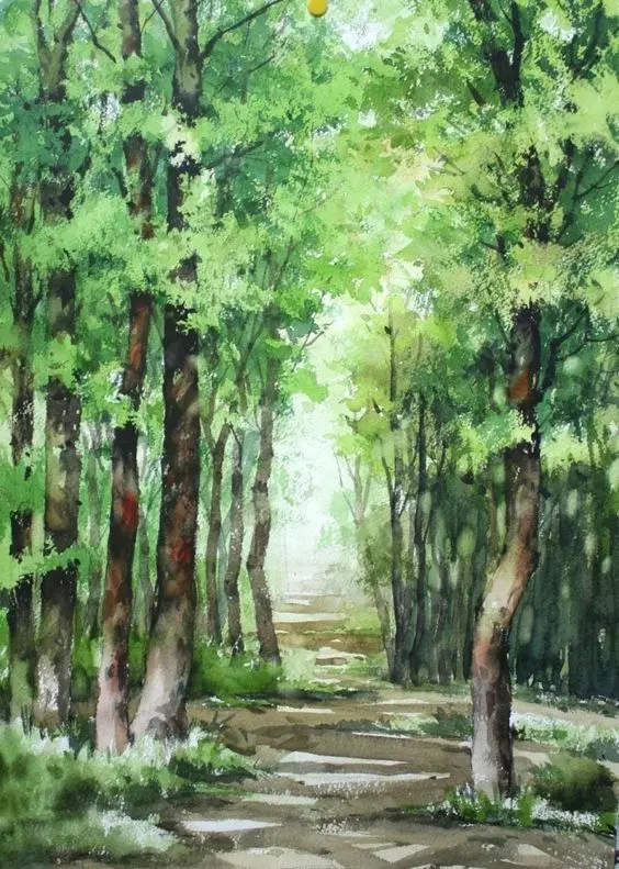Watercolor Painting of Trees in a Forest Path