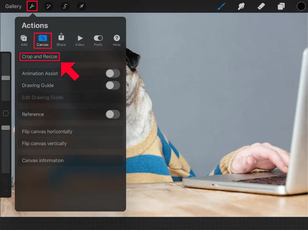How To Resize An with Procreate & Why It's A Hidden Feature