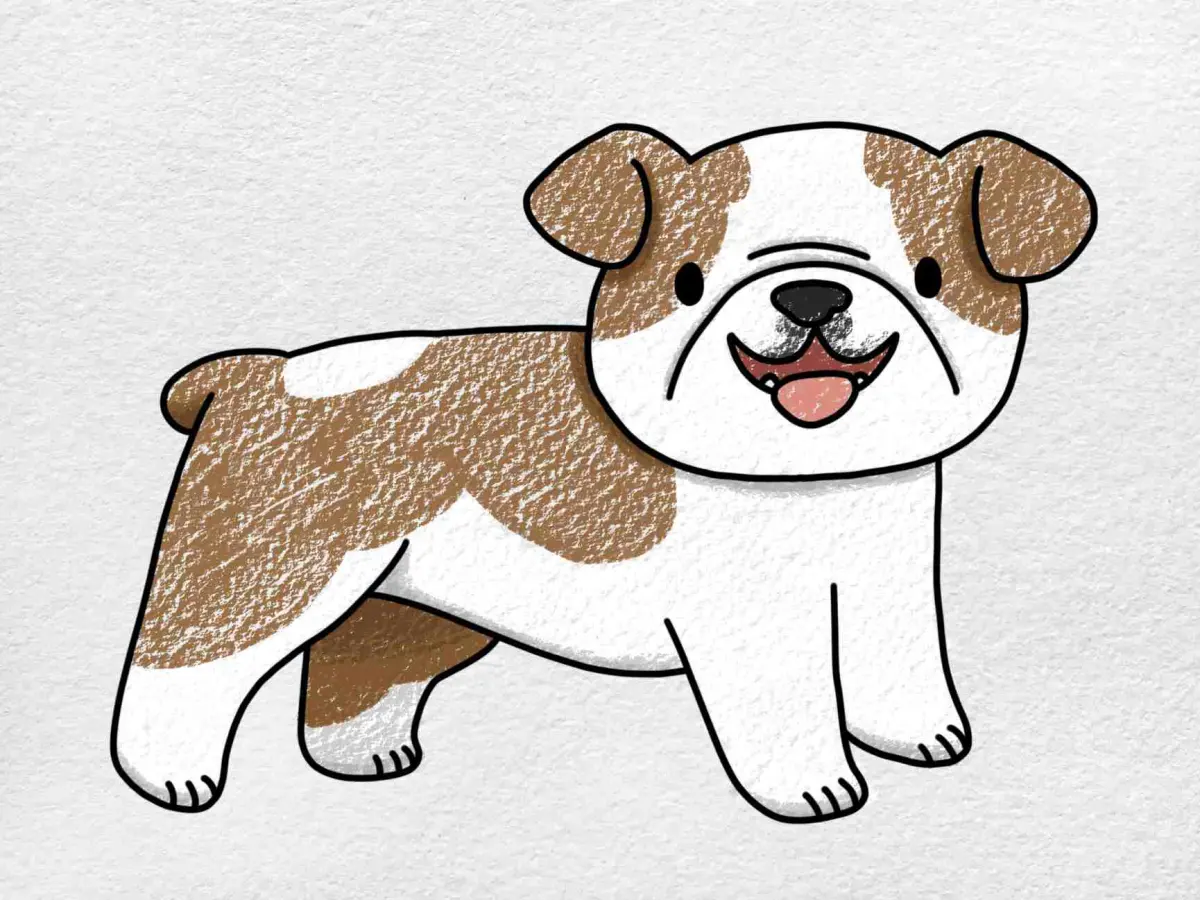 How to Draw a Bulldog