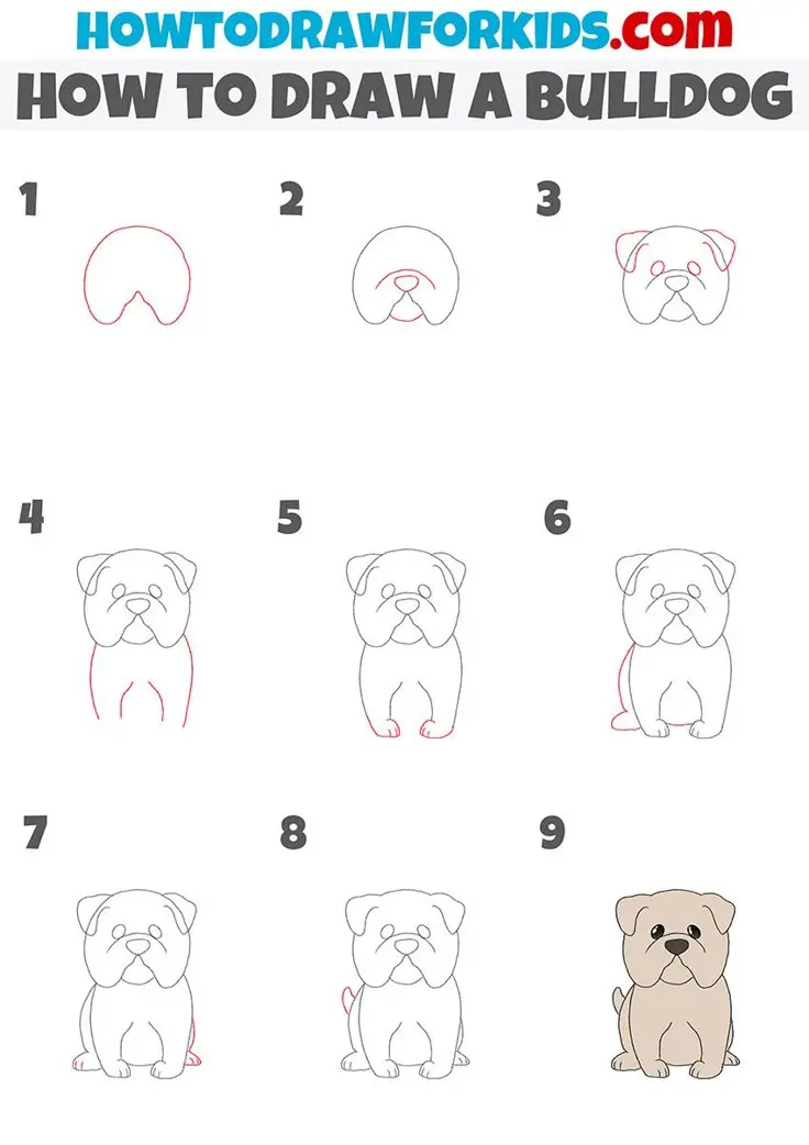 How to Draw a Bulldog