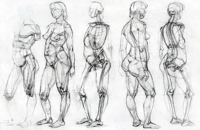 How to get the most out of a life-drawing class?
