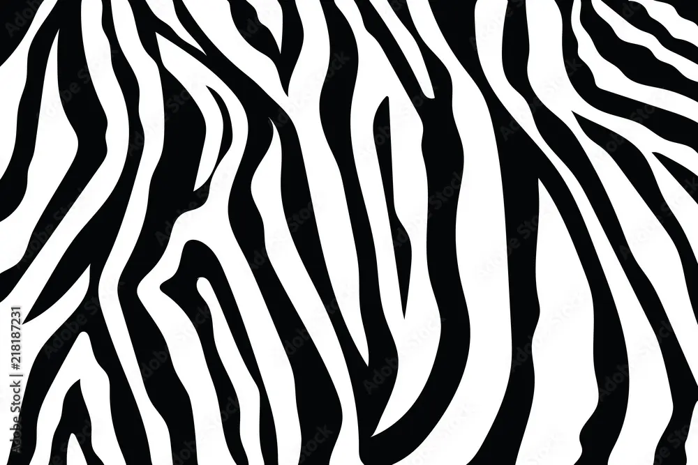 Poster, Print Zebra Stripes Pattern, 40x26.7 cm