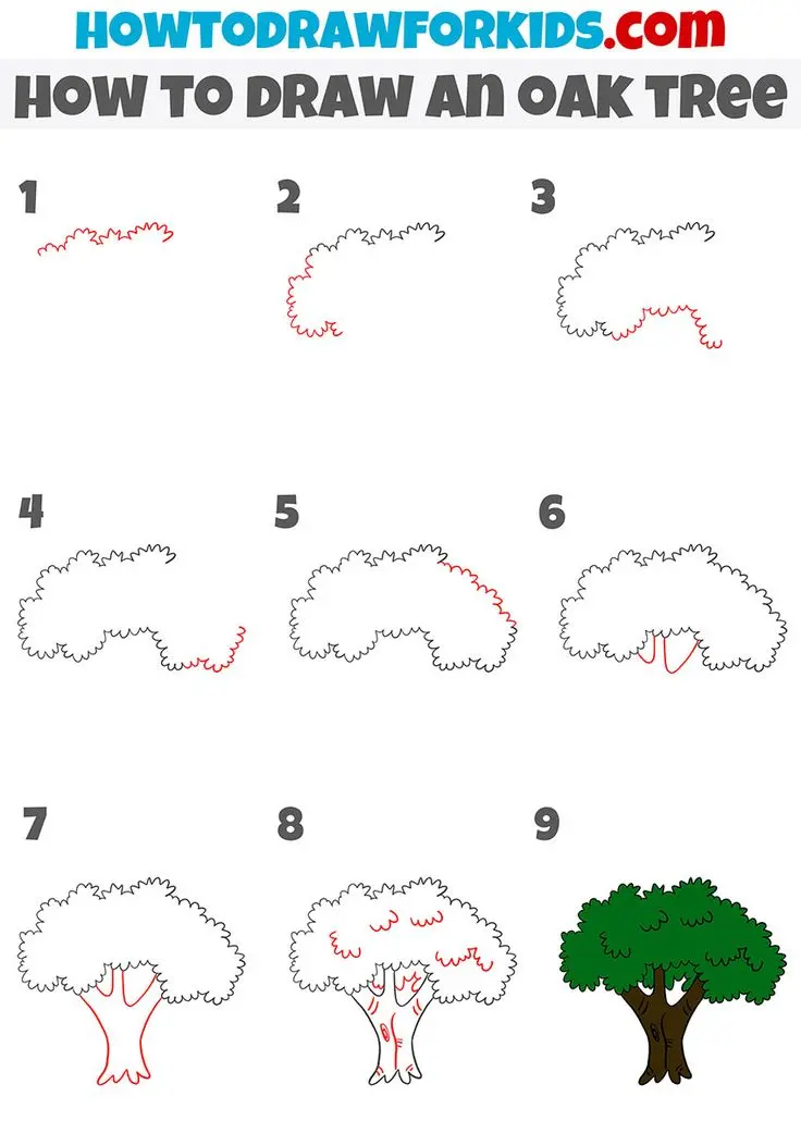 How to Draw an Oak Tree