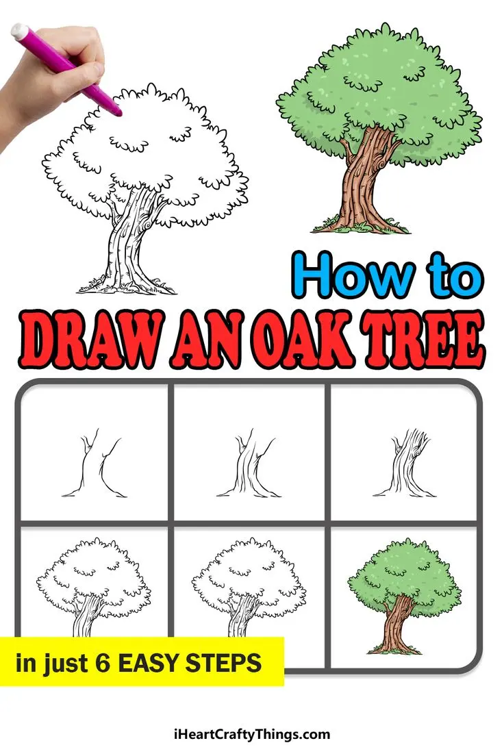 How To Draw An Oak Tree