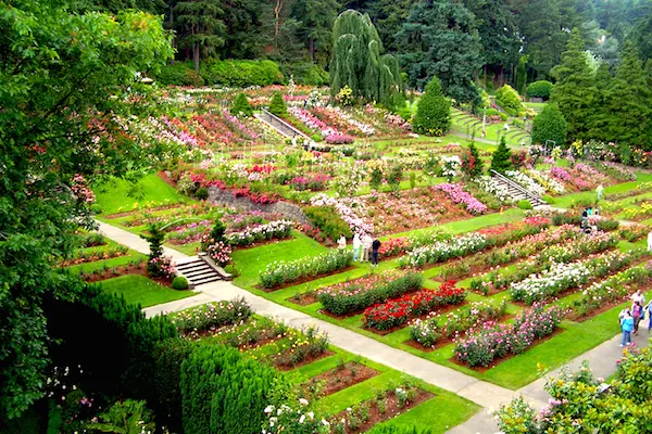 How Portland Became Known as the City of Roses