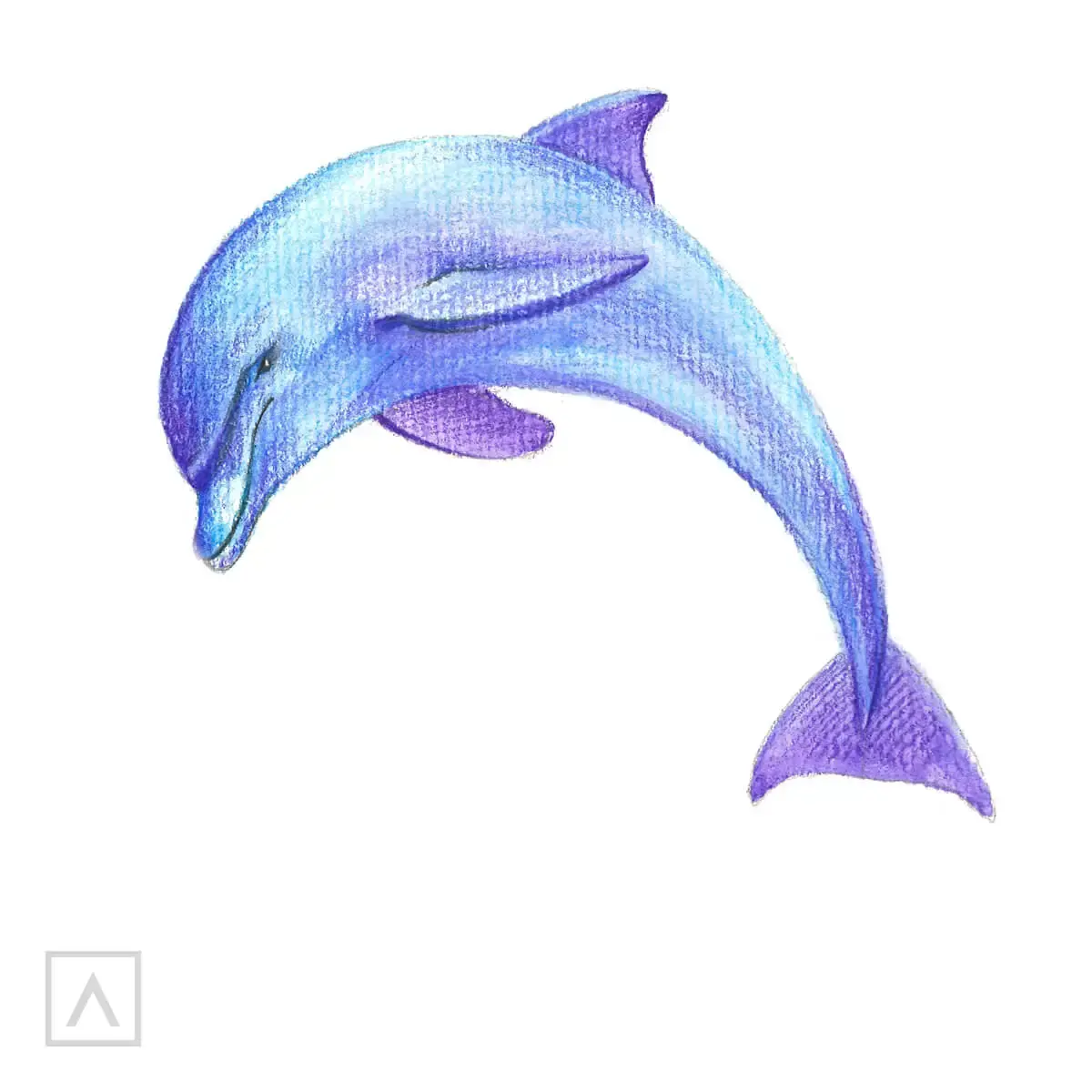 How to Draw a Dolphin in 6 Steps