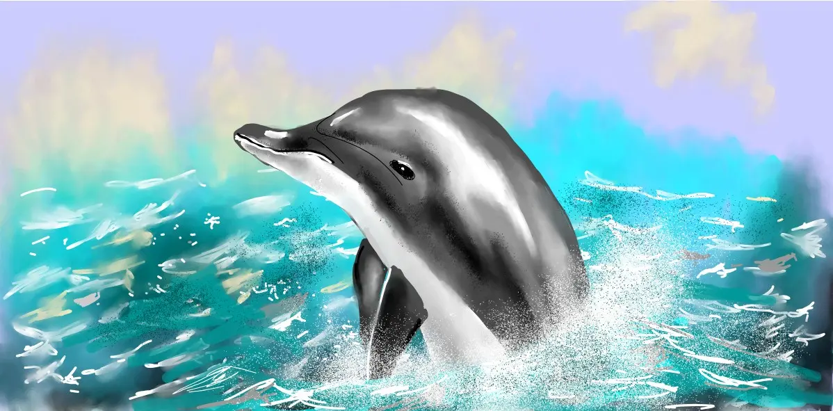 Watch Eclat de Lune draw Dolphin!