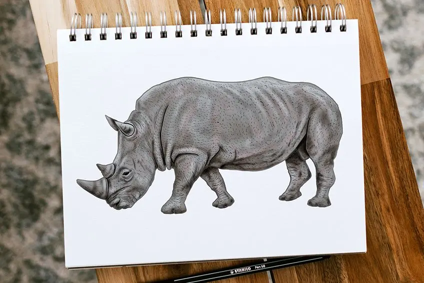 How to Draw a Rhino