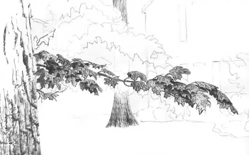 Drawing Tree Foliage, pen and ink art tutorial