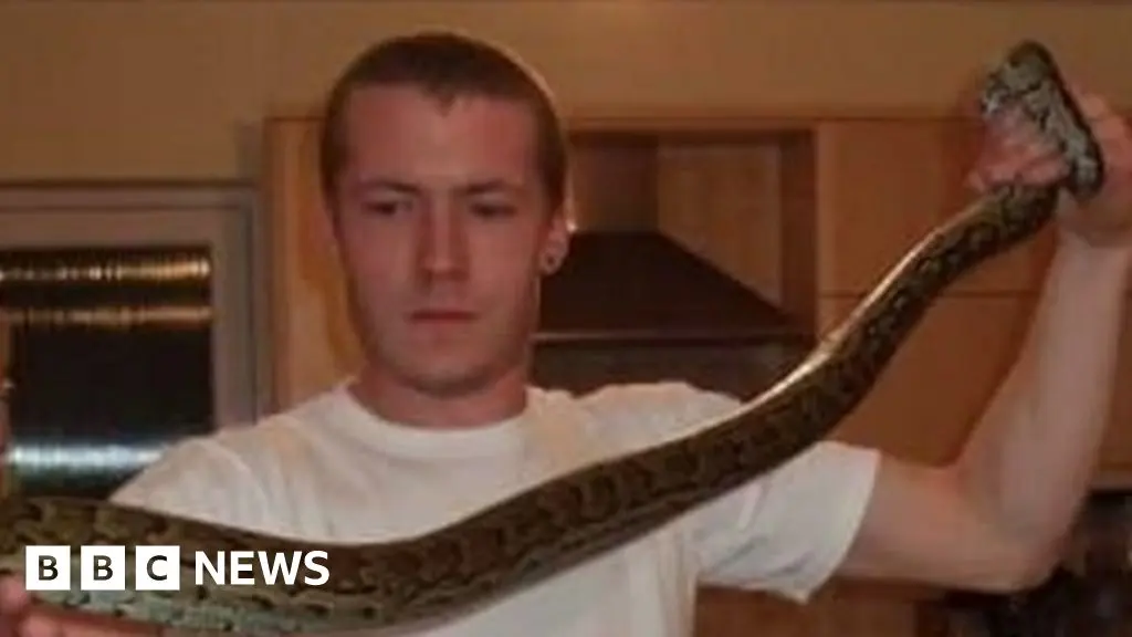 Are pythons dangerous to humans