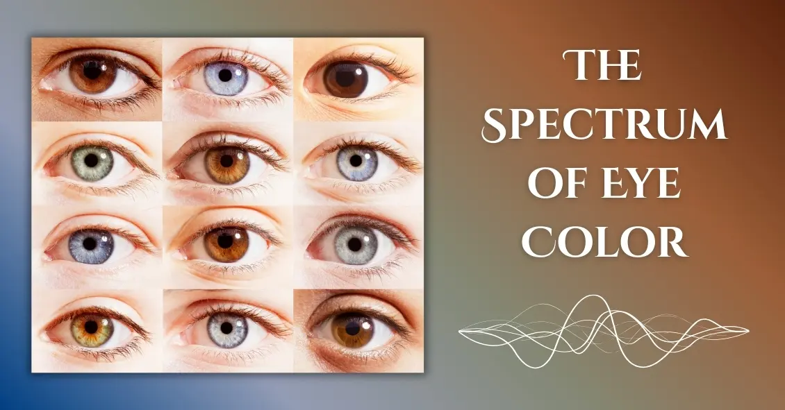 The Spectrum of Eye Color