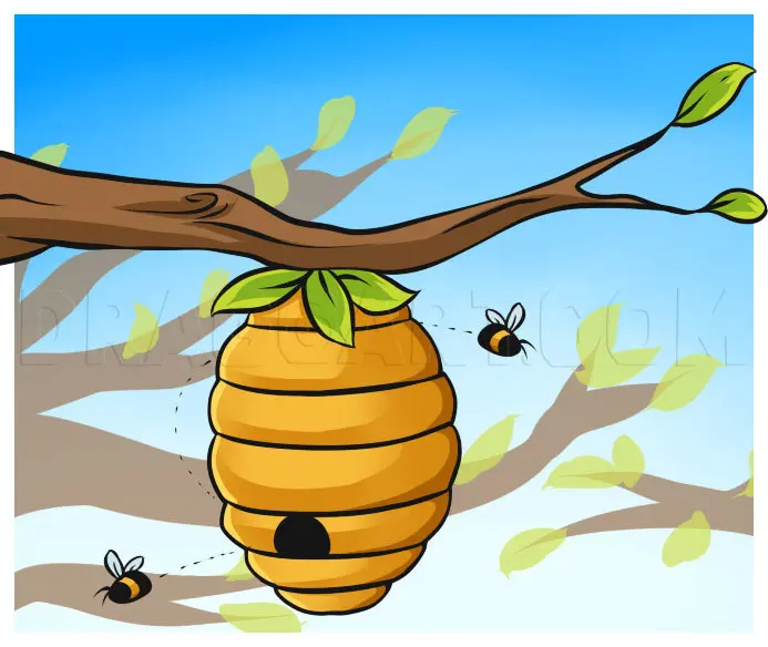 How To Draw A Beehive, Drawing, Step by Step, by Dawn