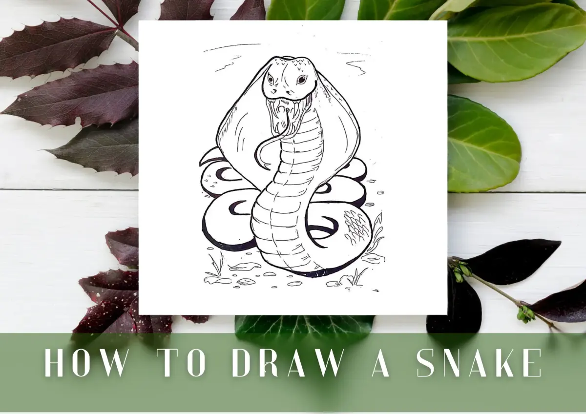 How To Draw a Snake