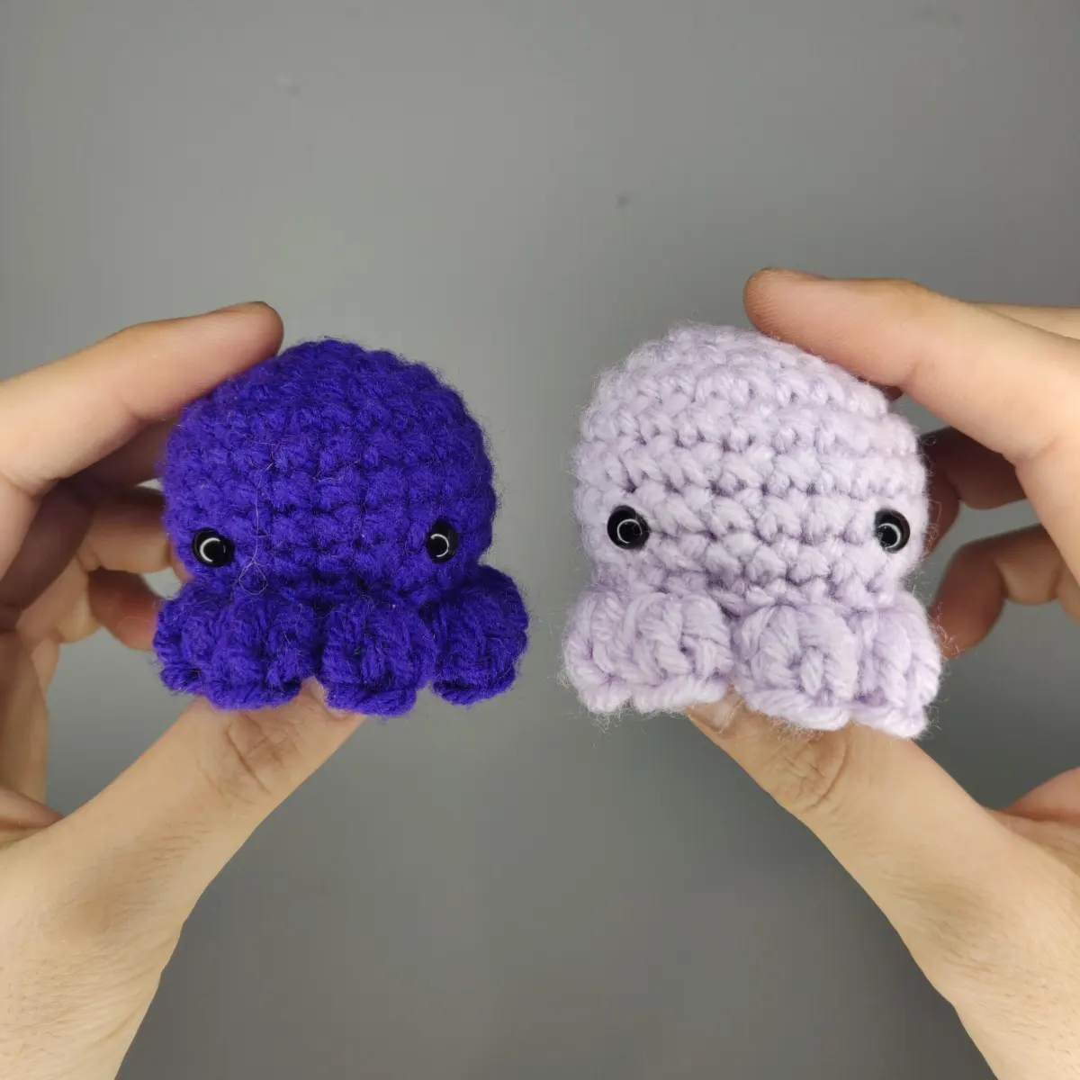 did you know a group of octopus is called a consortium?