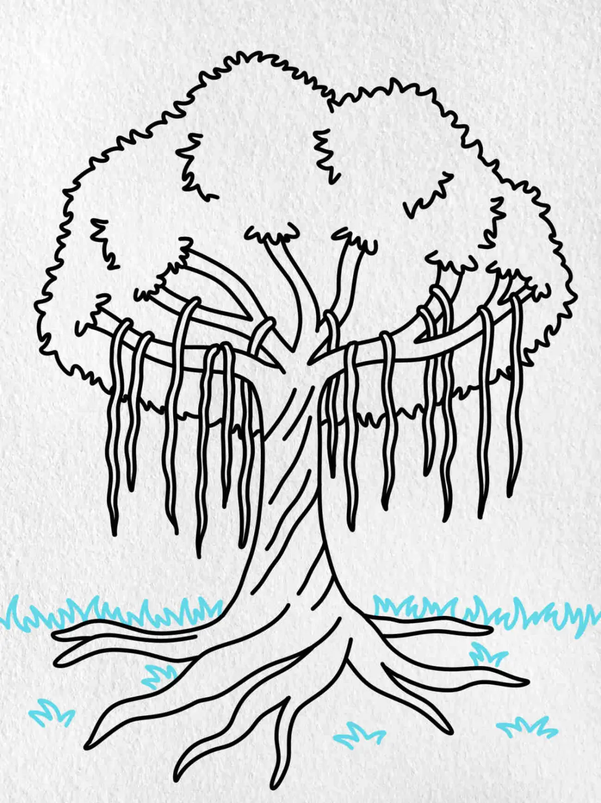How to Draw a Kapok Tree