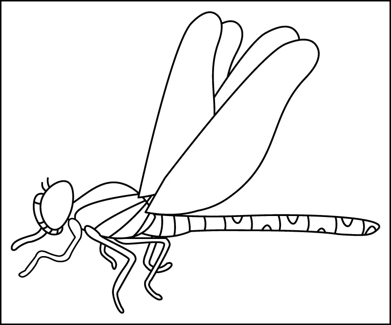How to Draw a Dragonfly